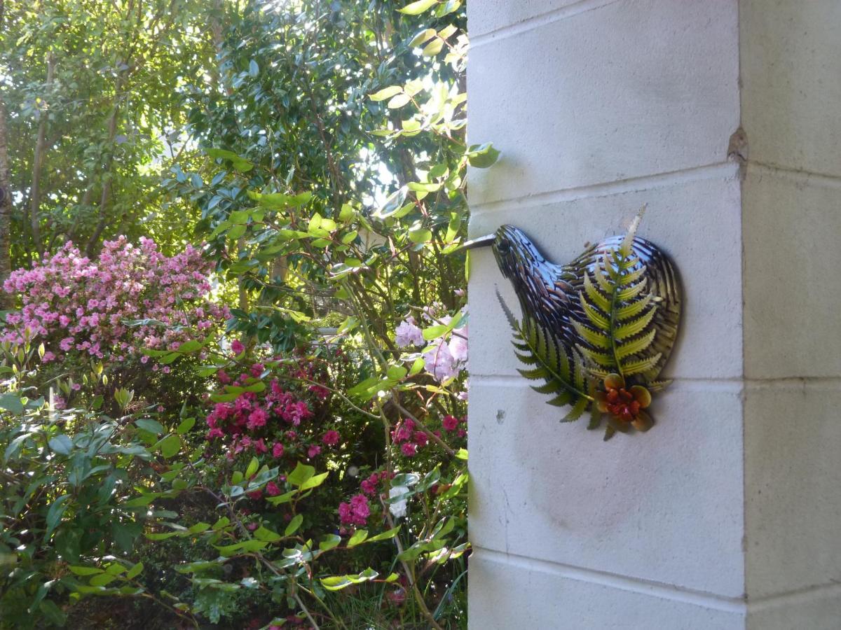 Fred&Donz Bed And Breakfast Taupo Exterior foto